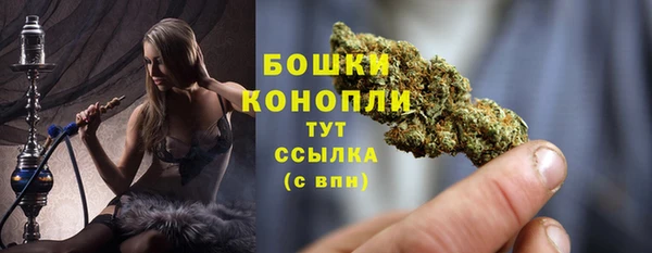 сатива Вязники
