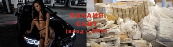 сатива Вязники