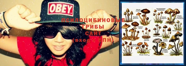мяу мяу кристалл Верея