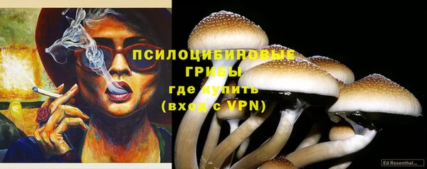 герыч Вязьма